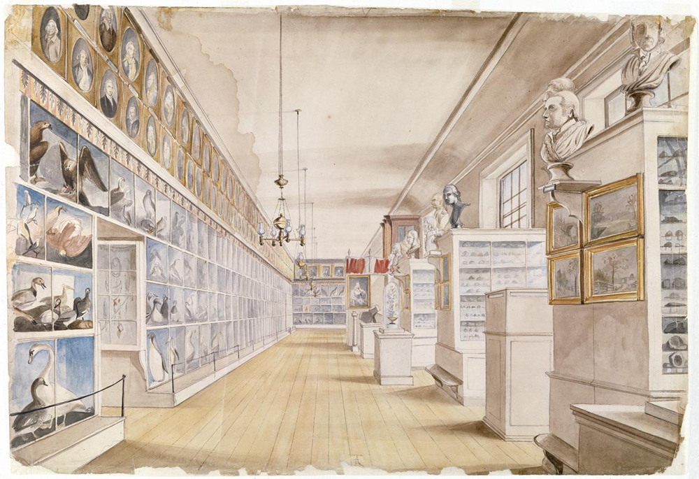 a long room filled with museum specimens