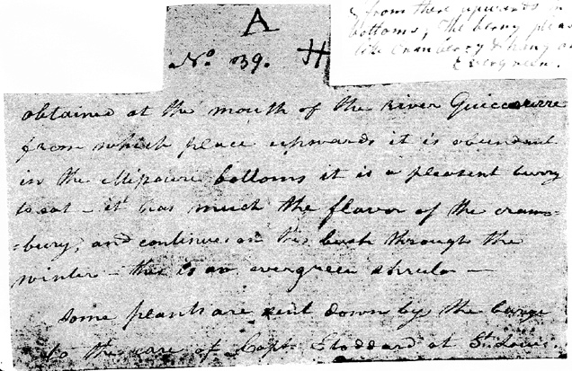 old, handwritten label transcribed on this webpage
