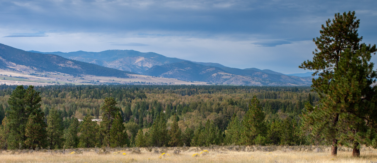 Wide forested Bitterroot River valley