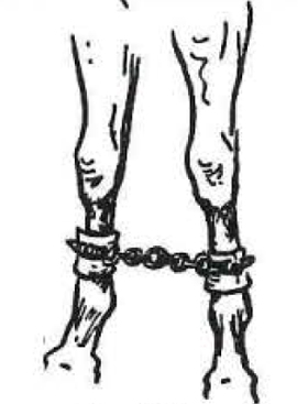 A chain connecting the two front legs of a horse