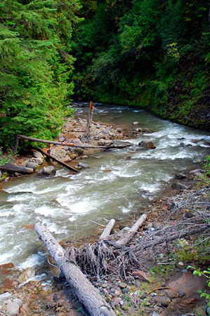 Small mountain stream