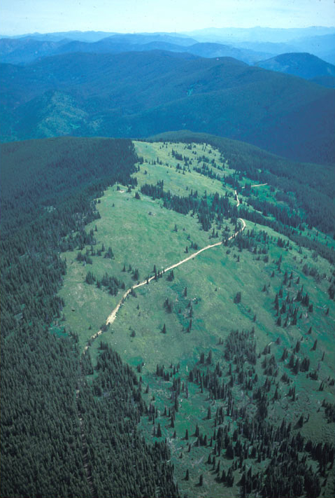 Bald Mountain