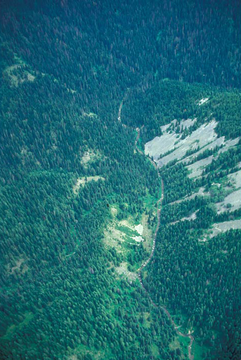 Aerial view of Hungery Creek