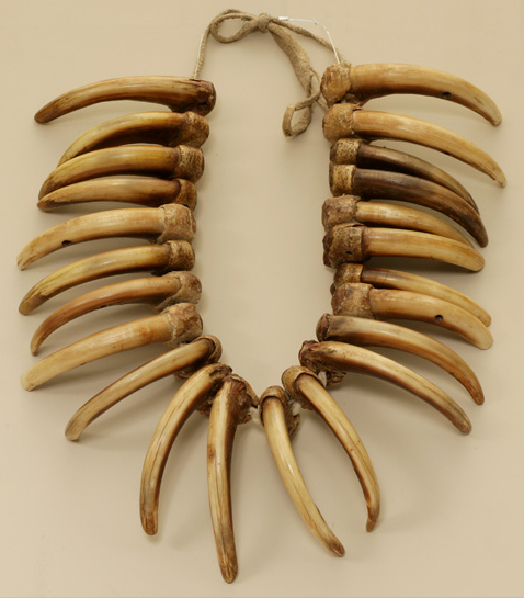 nez perce necklace