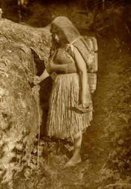 indian woman gathering bark