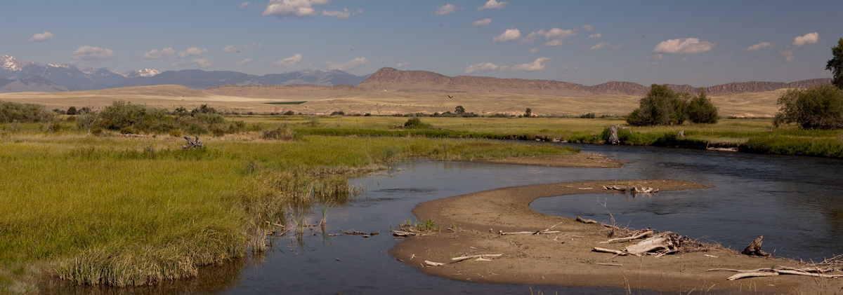 Small meandering river