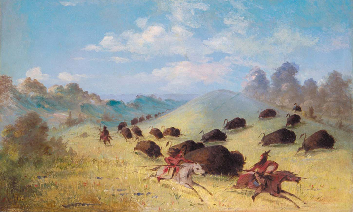 Historical painting of mounted Comanche hunters chasing buffalo