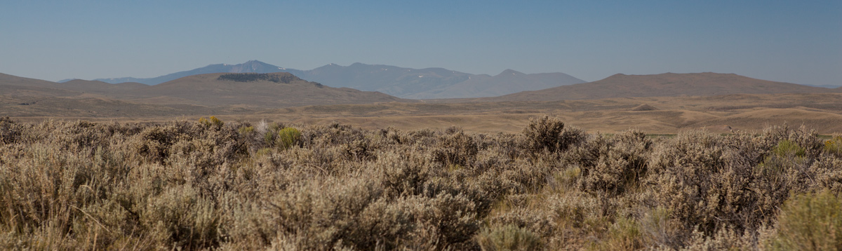 high plain covered with sagebrush