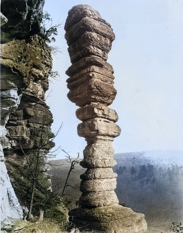 Small dome rising above the trees