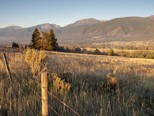 Wide forested valley with a range of mountains behind