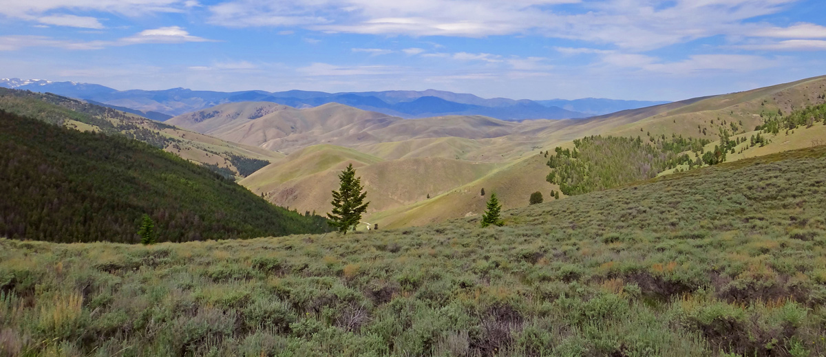 Bitterroot Mountains viewed from Lemhi Pass