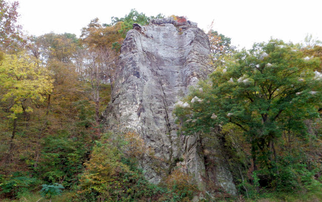A tall monolithic rock surrounded by deciduous trees