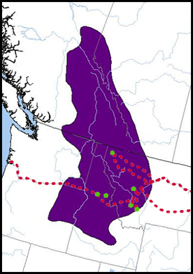 range of columbian ground squirrel