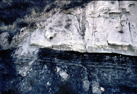 Black layer of rock in a river bank