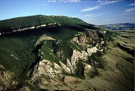 East Prypr Mountain is covered in green trees