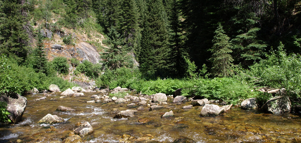 Small mountain stream named Hungery Creek