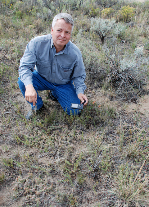 Man kneeling behing a thick mat of brittle prickly pear