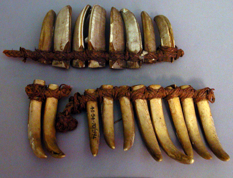 long, brown teeth attached to strings