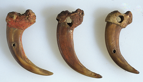 three grizzly claws