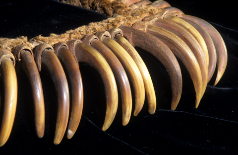 top view