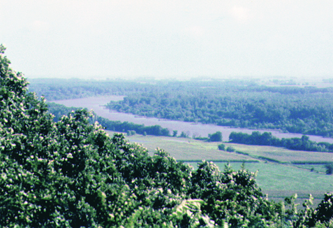 Blackbird Hill