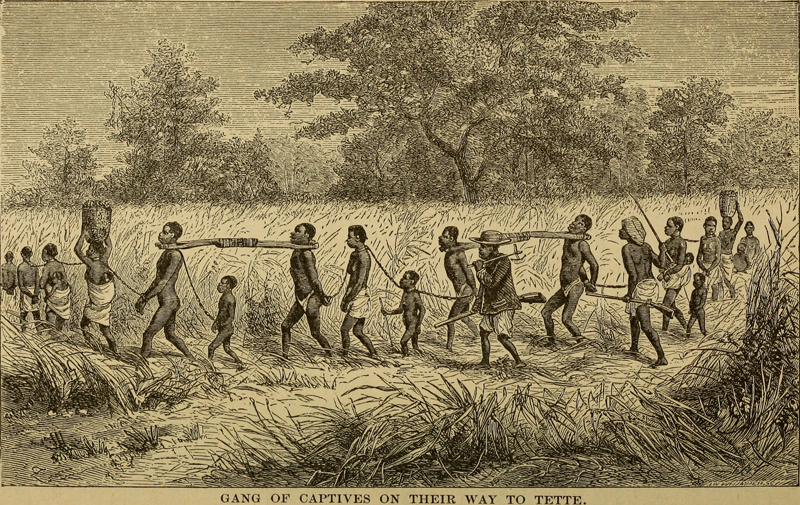 A line of bound women, children, and men are marched across the African plain