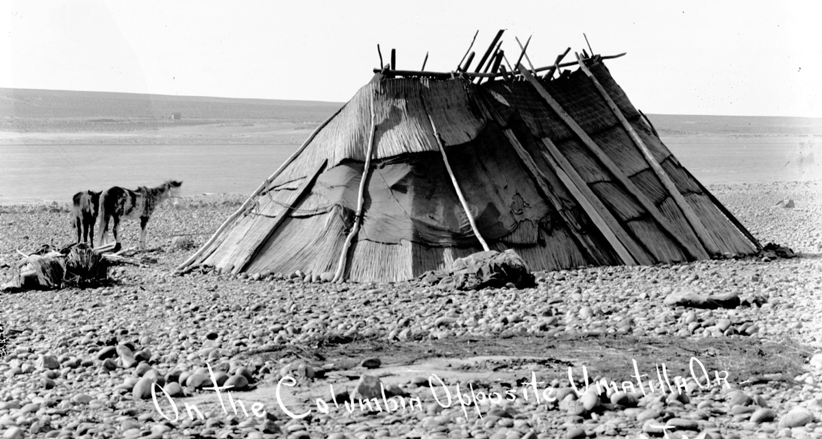 An elongated lodge covered with bulrush mats sits on the rocky Columbia River shore