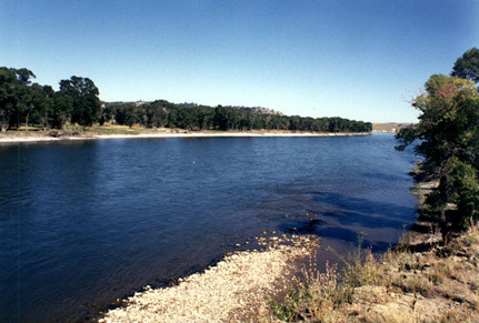 large blue river with low banks filled with cottonwood trees