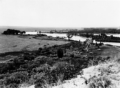 An old photo of the Yellowstone river showing small and scattered cottonwood trees
